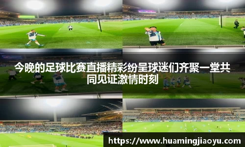 竞技宝jjb官网测速