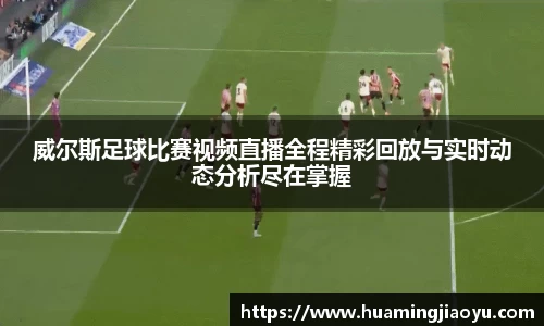 竞技宝jjb官网测速